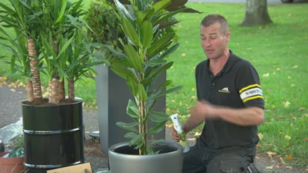 De Grote Tuinverbouwing gemist? Kijk het hier.